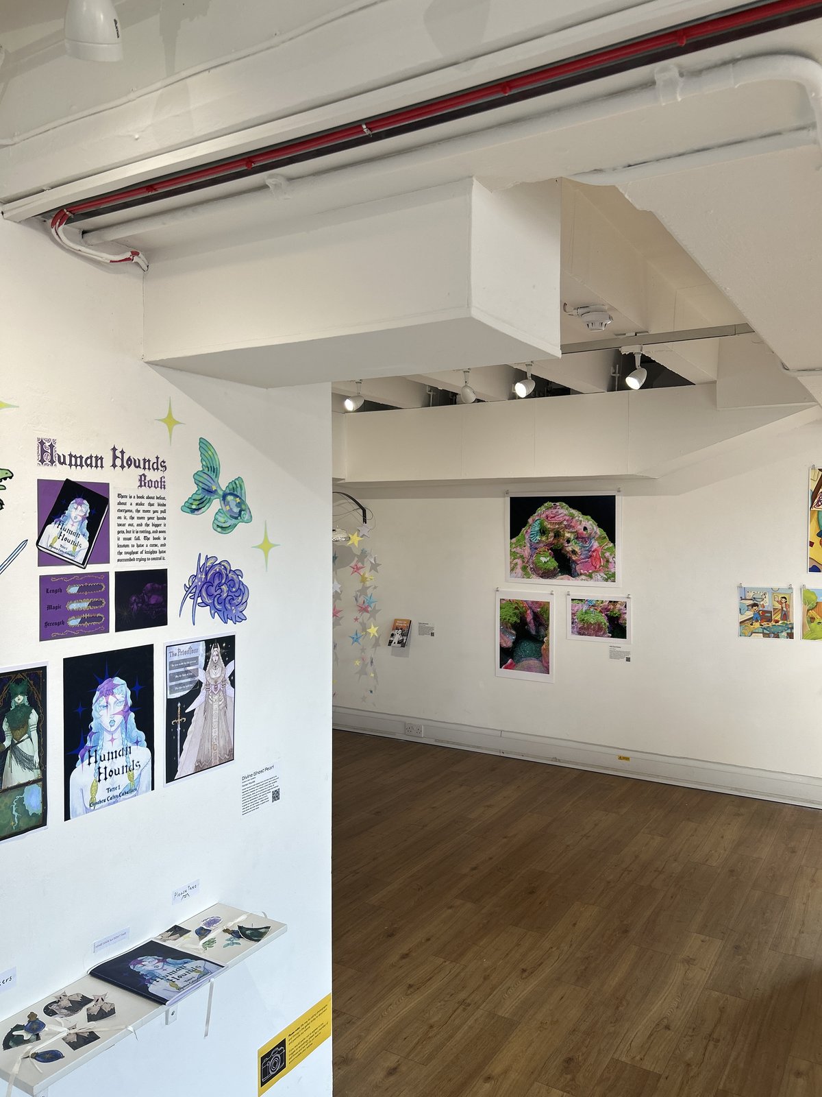 Illustrations on display at an exhibition